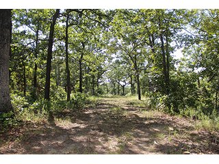 Property photo 36 - LAND AUCTION - 440+/- ACRES OFFERED IN 17 TRACTS IN OSAGE CO., OKLAHOMA